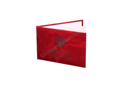 Диплом кандидата наук 1996-2006 года